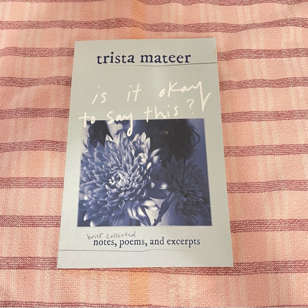 Is It Okay to Say This? Trista Mateer - Blue Paperback Journal/Book